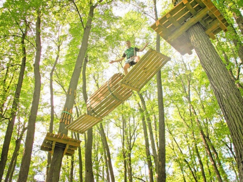 Лиана-парк - Услуги и развлечения